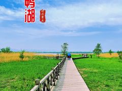 -野鸭湖国家湿地公园