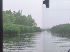 -白洋淀景区