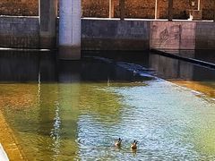 -马栏河运动公园