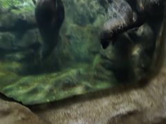 -南昌海洋公园