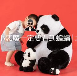 -皇家爱婴高端儿童摄影(苹果园店)