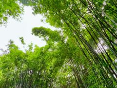 -晓港公园