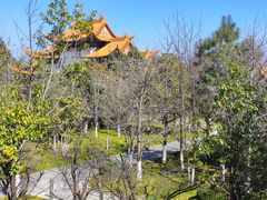 -崇圣寺三塔文化旅游区