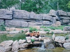 -北京野生动物园