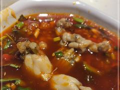 -蛙鱼道美蛙鱼自助火锅(新耍都店)