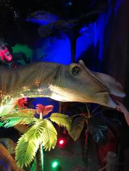 点击看大图 -恐龙探索乐园(磁器口店)