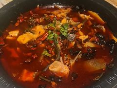 -万和源炝锅城·活鱼现炝(文艺北路店)