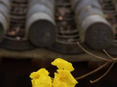 -光孝寺