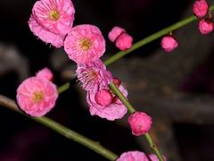 -静安雕塑公园