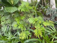 -国家植物园南园