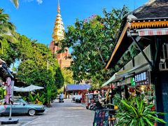 -纳兰傣雀傣味餐厅