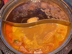 -牛New寿喜烧(金鹰世界店)