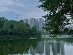 -重庆彩云湖湿地公园