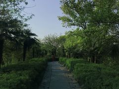 -西溪国家湿地公园