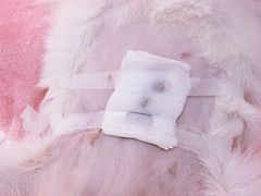 -仁华宠物医院(青羊店)