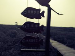 upload_pic-北海金海湾红树林生态旅游区