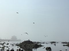 景点-栈桥景区