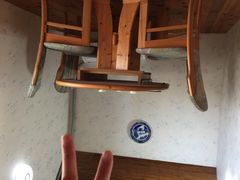 -金山农民画村-枫泾波兰倒置屋