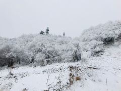 -太子岭滑雪场