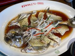 -丹江渔村(望京店)