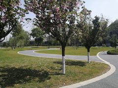 -四川大学(江安校区)