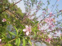 -五里桥文化公园-西侧停车场