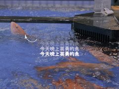 -盒马鲜生(曜一城店)