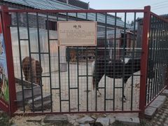 -有喜胶东小馆(超极合生汇太申祥和店)