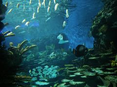 -海合安武汉极地海洋公园