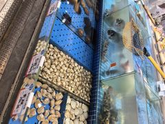 -鲜得莱渔港·小平岛海胆馆(七贤岭店)