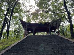 -武侯墓风景区