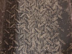 -英皇UA电影城(瑞虹天地月亮湾)