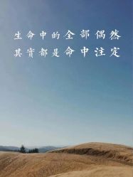 -Oasis Beauty水磨坊科技美肤中心