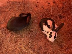 -杭州野生动物世界