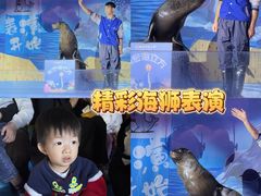 -顺德南宏海立方海洋公园
