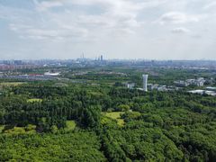 -上海滨江森林公园