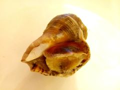 -大蟹天下海鲜自助