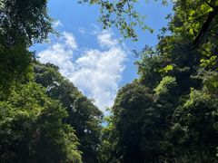 -石台牯牛降景区