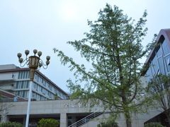 -全国青少年井冈山革命传统教育基地