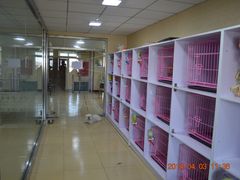 -优缇多格专业宠物美容师培训学校