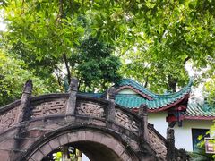 -桂湖森林公园