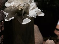 -美豪怡致酒店(上海长寿路店)