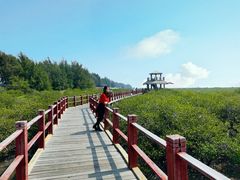 -北海金海湾红树林生态旅游区