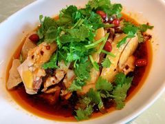 椒麻鸡-金典银峰老鹅馆·昆山菜(亭林公园店)