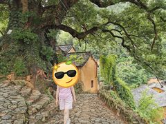 -杨家堂村
