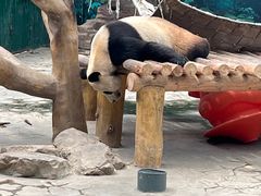 -沈阳森林动物园