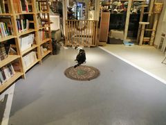 -小时光咖啡馆(开森度假森林店)