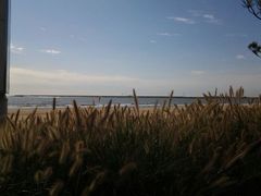 android_upload_pic-南戴河国际娱乐中心