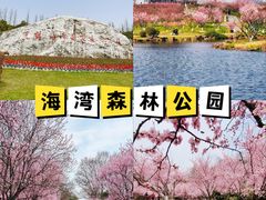 -上海山野camping·户外天幕烧烤·团建拓展营地