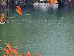 -广州市流溪河国家森林公园